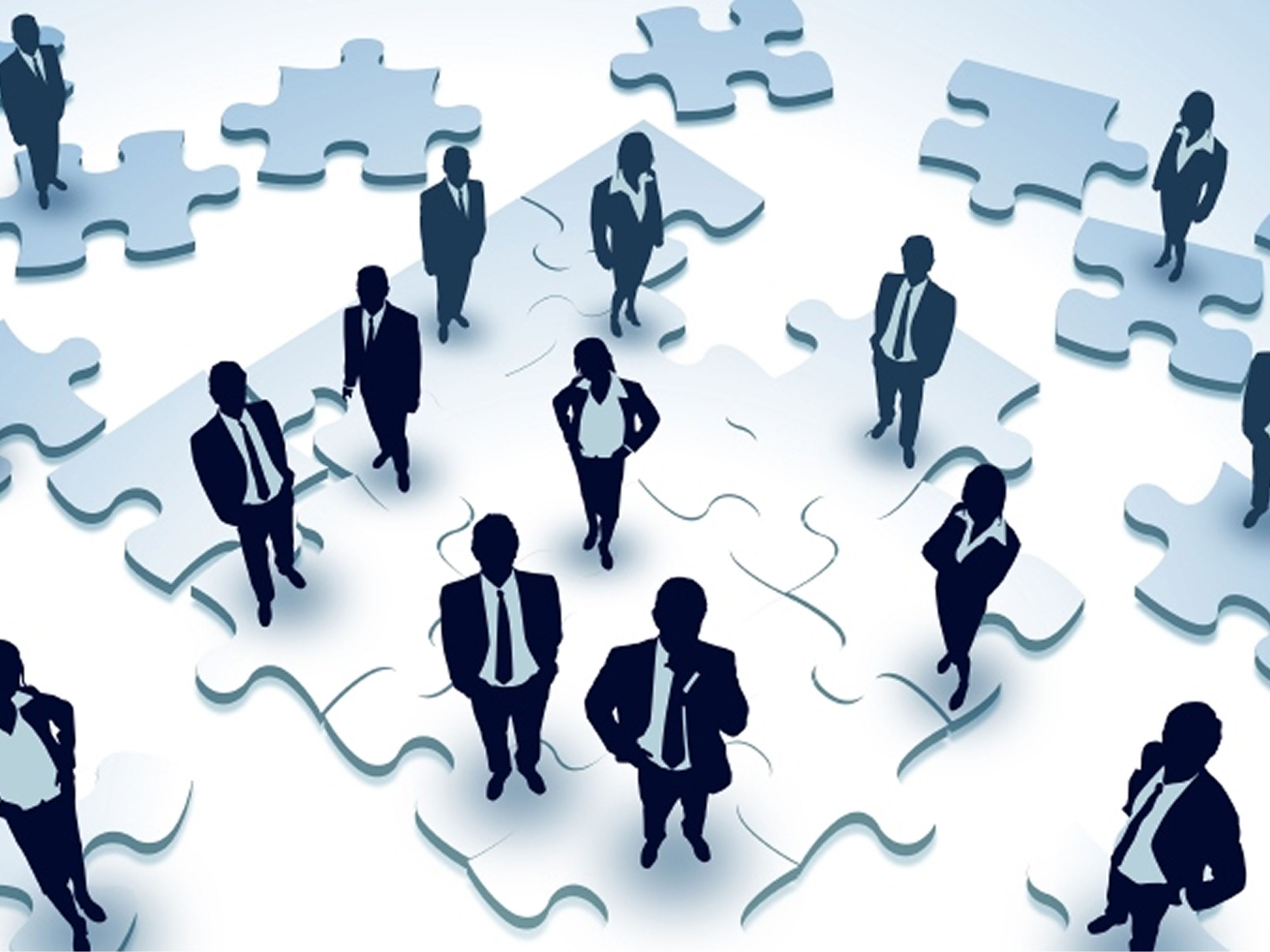 Decision quality determines organisational performance