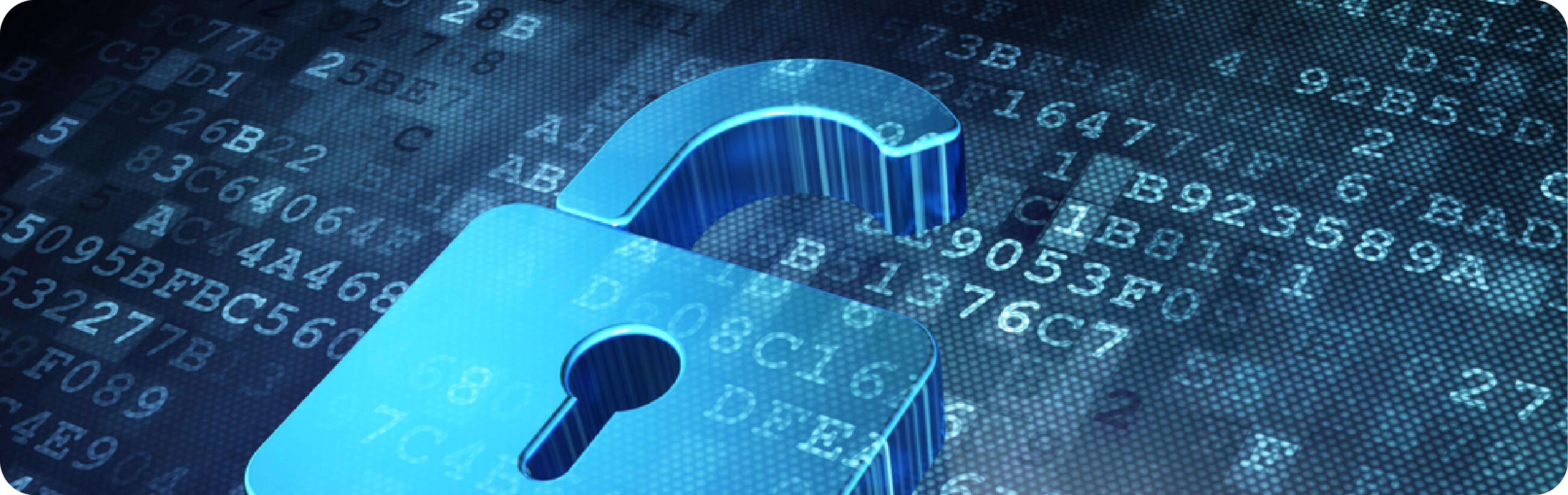 Technical Security Services